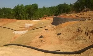 Site Selection Liability Studies