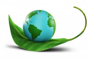 environmental conservation concept 1024x682